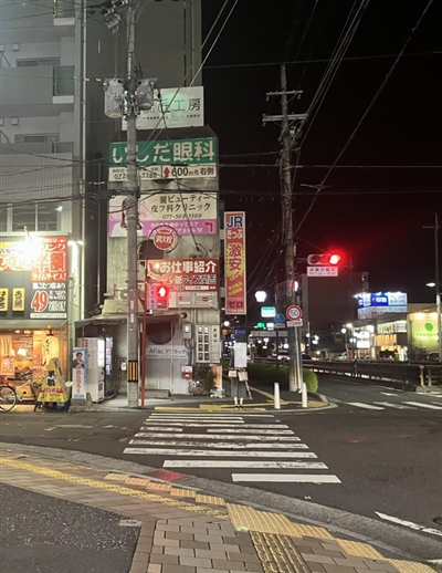 ���Éw�O�̔ɉ؊X