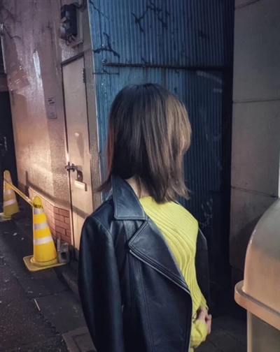 ����̗������